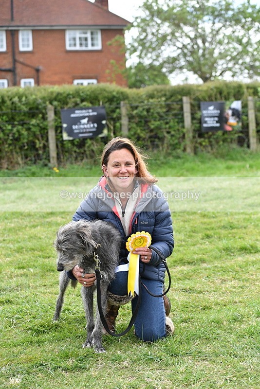 WJ5_9409 - Class 1 Best Cross Breed / Heniz 57