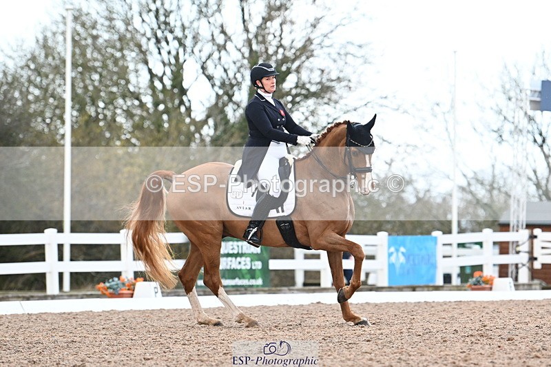 240218A-103942-06059 - 109-Sara.Gallop-Jovano