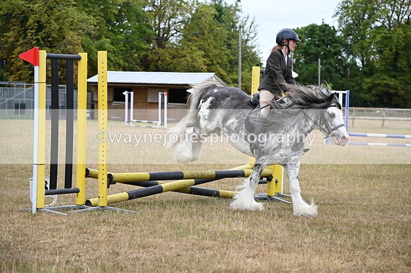 WJ6_9650 - Class 12 Minimus Jumping 45cm