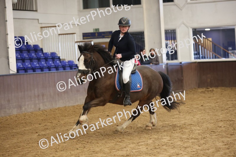 20260314-0480 - 60cm