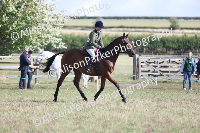 20250831-0960 - Class 14 - Ex Racehorse