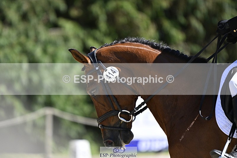 250522A-150829-03796 - D-414-Rupert.Batting-COOMBELAND.SEMILLY