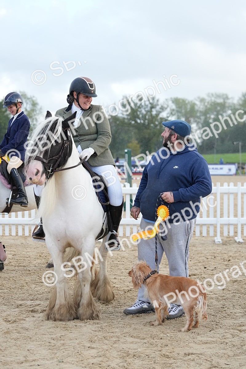 SBM_29219 - J43 - Horse & Hound Open 50cm