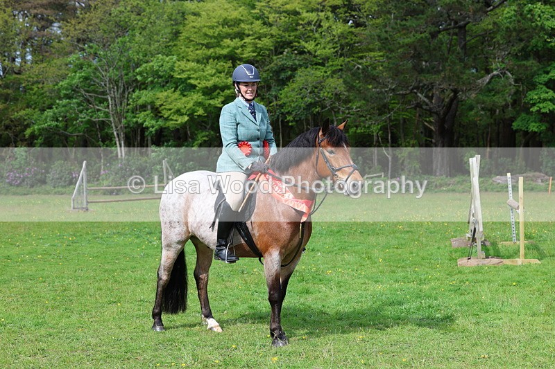 3E7A2745 - Working Hunter Championship