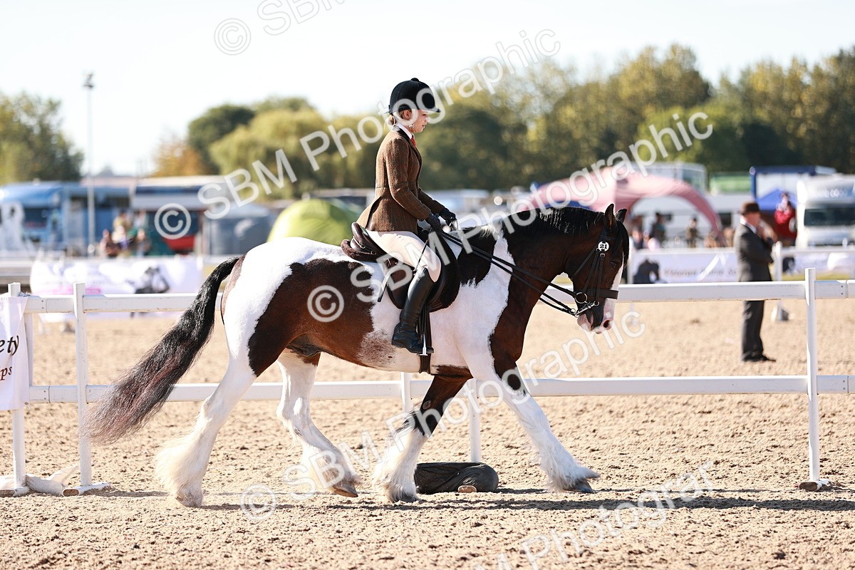 SBM_12451 - Class 403 - Grassroots Ridden - Junior