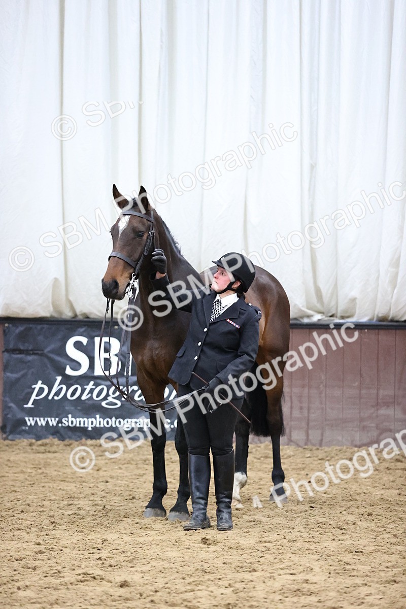 SBM_5765 - Class 3 - BSHA In Hand Show Hunter