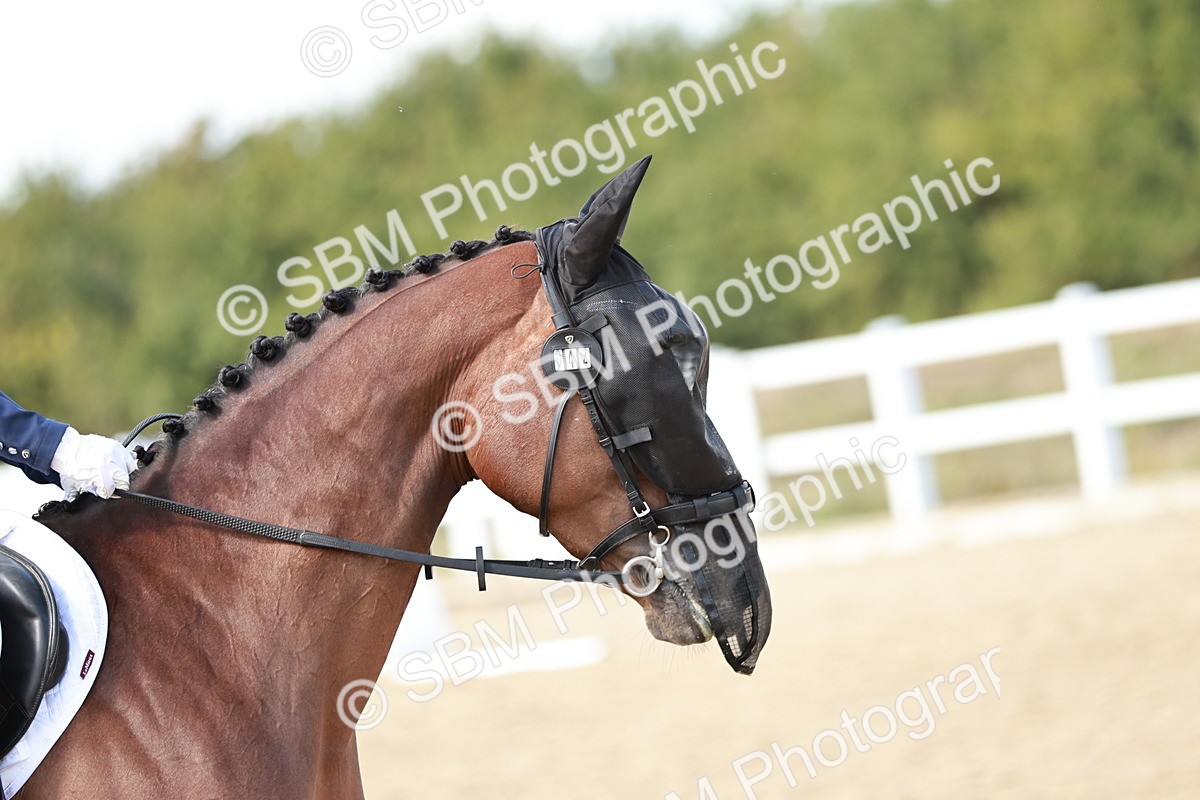 SBM_012019 - PYO Championship