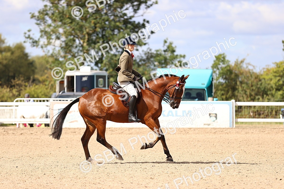 SBM_12917 - Class 410 - Grassroots Ridden - Horse