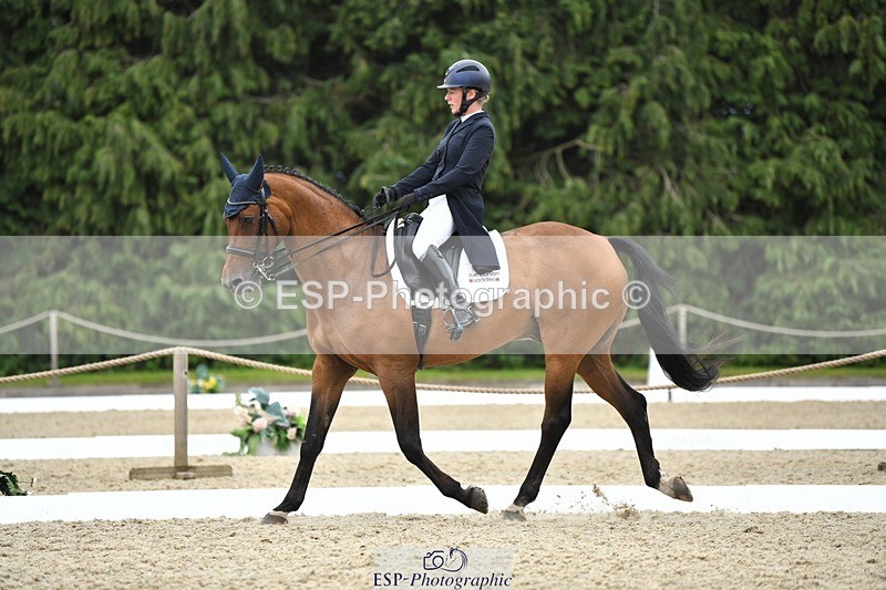 230812-135054-04529 - Cls 7 FEI PSG Bronze