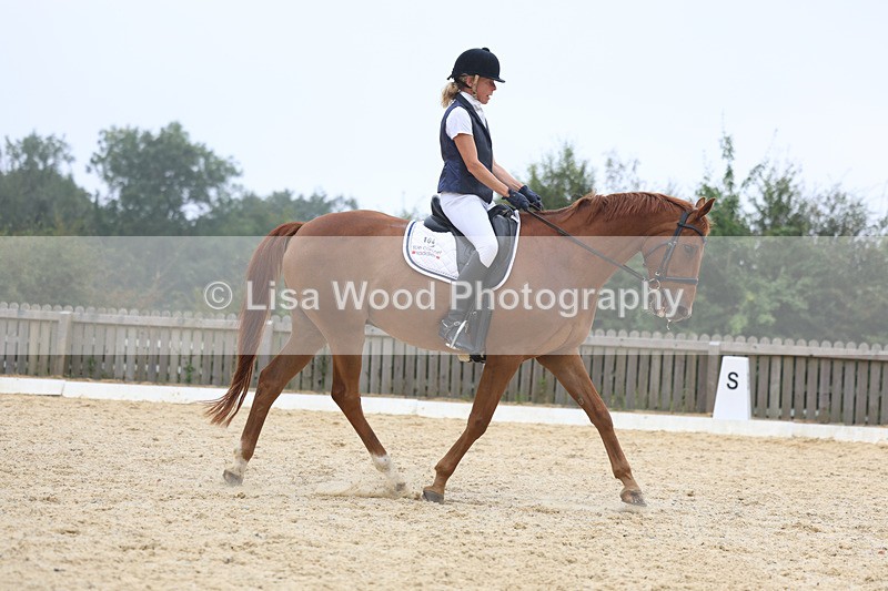 3E7A7414 - Class 9: Elementary 4 2024 - No sections