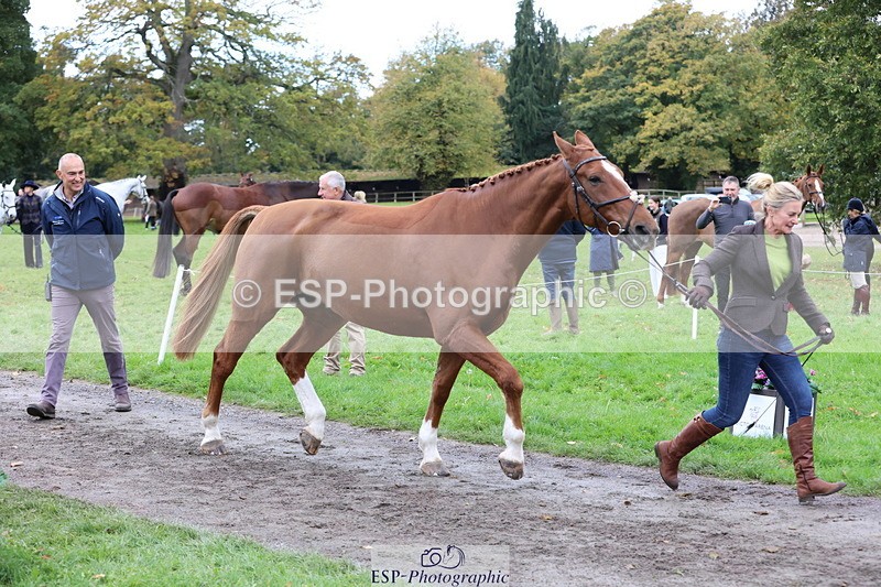 251026A-111408-25323 - G-579-Amy.Newton