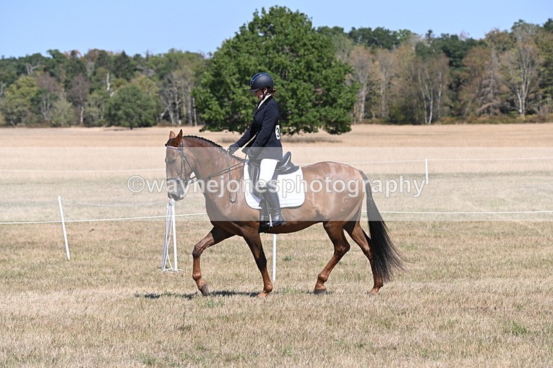 WJ6_8809 - Class 38 Ridden Riding Horse/Pony