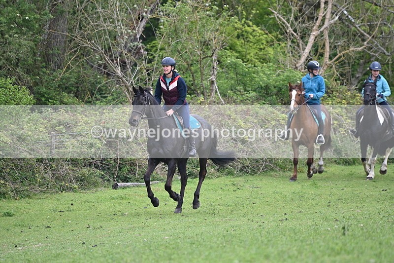 WJ6_2930 - A Camera
