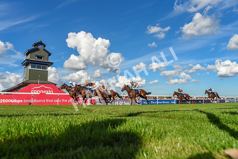 220926-Race 4-Toca Madera-7881 - Race 4 3.15pm Eddie And Violet Smith Conditions Stakes