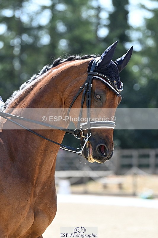 250810A-134427-07061 - 015-Sarah.StewartDJoe.Dimaggio