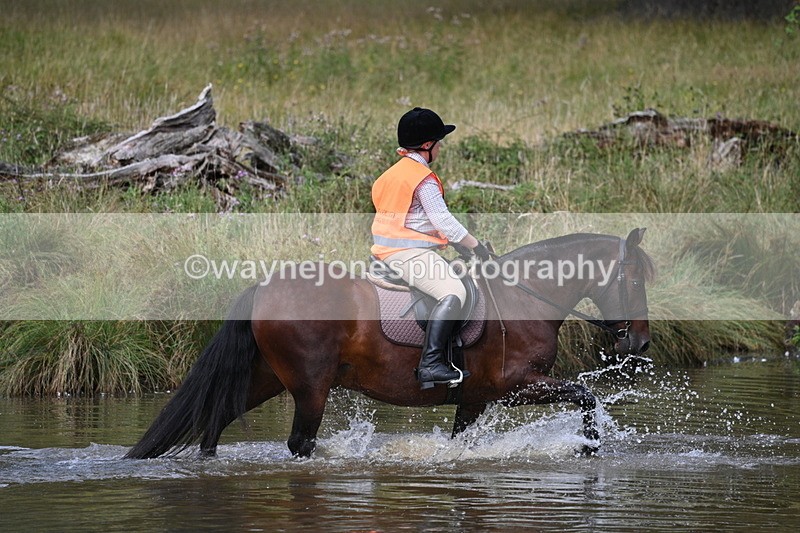 WJ7_0421 - Time at Water 09:19 to 10:04