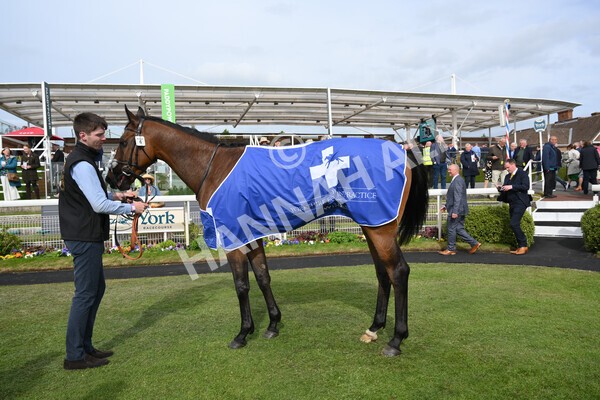 yr13052022r6-46 - Race 6 4.45pm Yorkshire Equine Practice Stakes