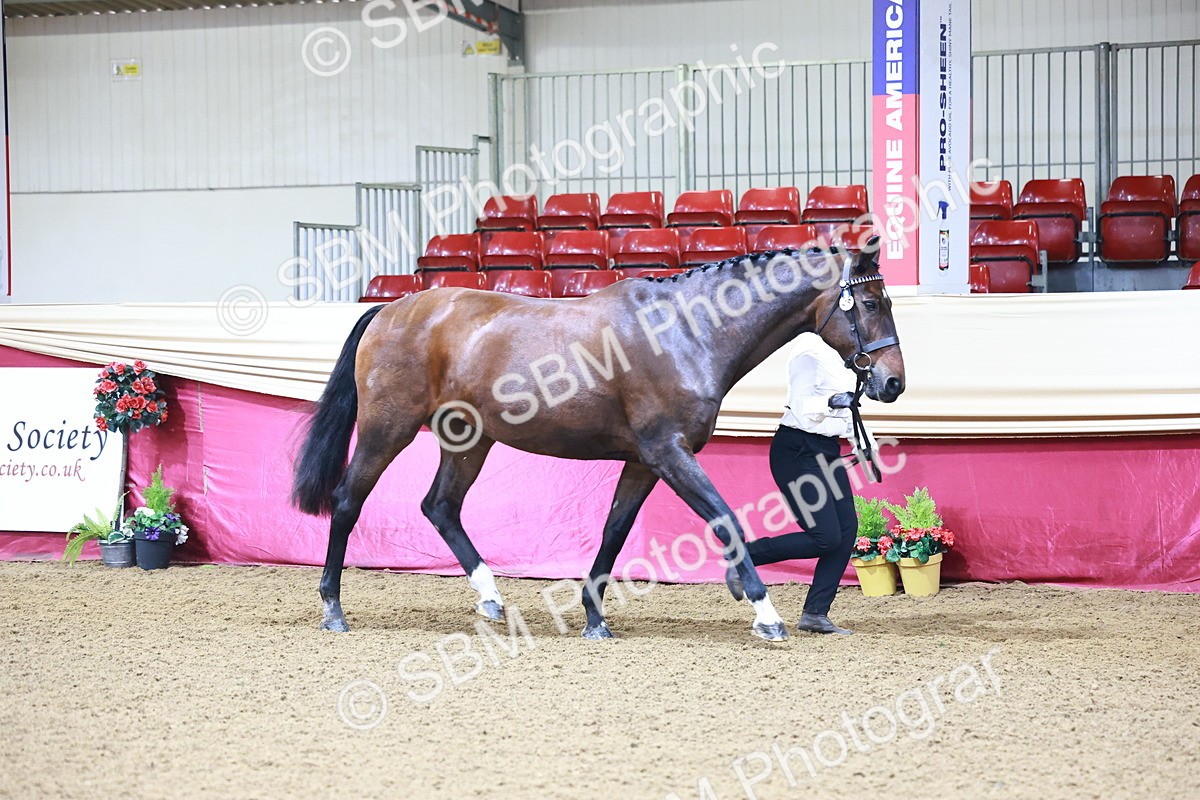 SBM_21653 - Class 901 - Supreme Final - IH  Diamond