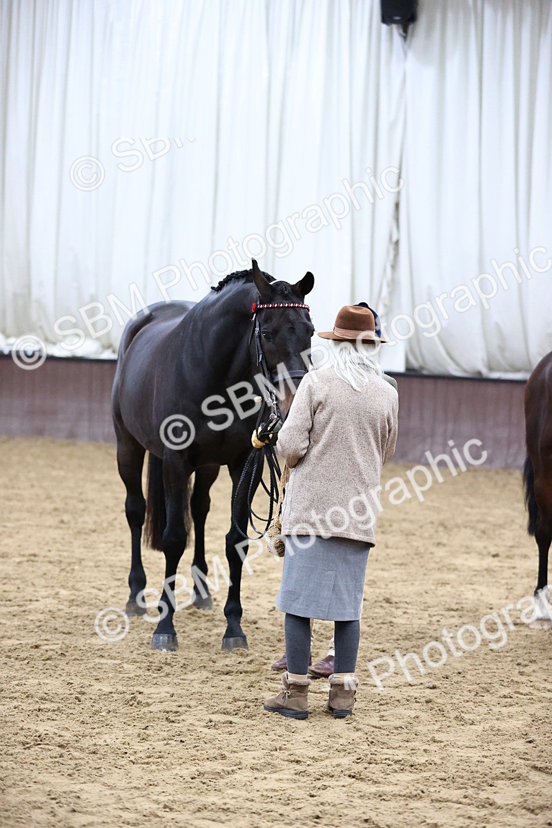 SBM_5768 - Class 3 - BSHA In Hand Show Hunter