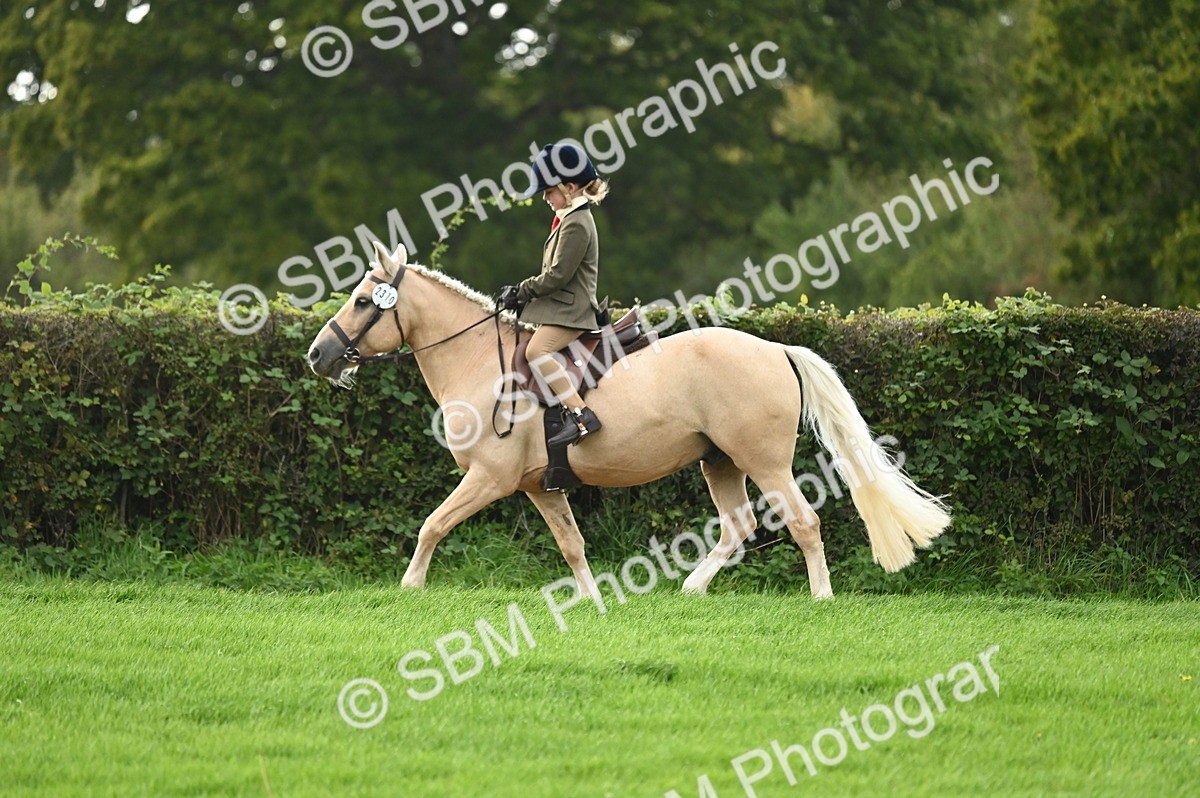 SBM_26623 - S7 - Novice & Newcomer Ridden Pony
