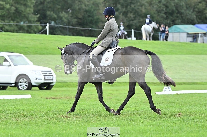 231020-151513-11418 - 629-DP.UK.DUN.SURPRISE-Isla.Kitson-DR