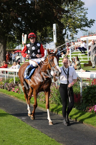 yr05092021r5-32 - Race 5 4.20pm Little Green Rascals Children's Nurseries Stakes