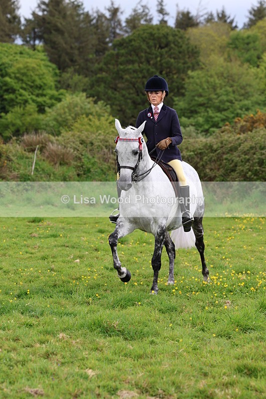 3E7A2097 - Class 11: Ridden Arab