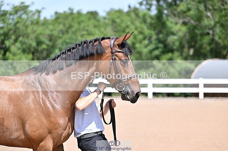 250716-122718-00003 - Trot Up 12.30 to 1.30