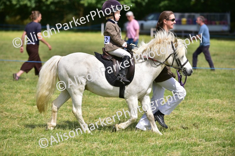 20260614-1149 - Class 11a - Lead Rein Pony (Unplaited)
