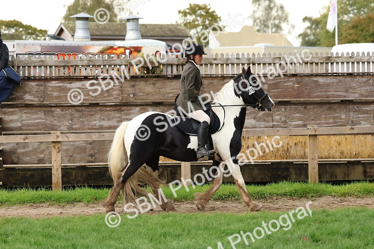 SBM_44957 - S27 - Young Veteran Ridden