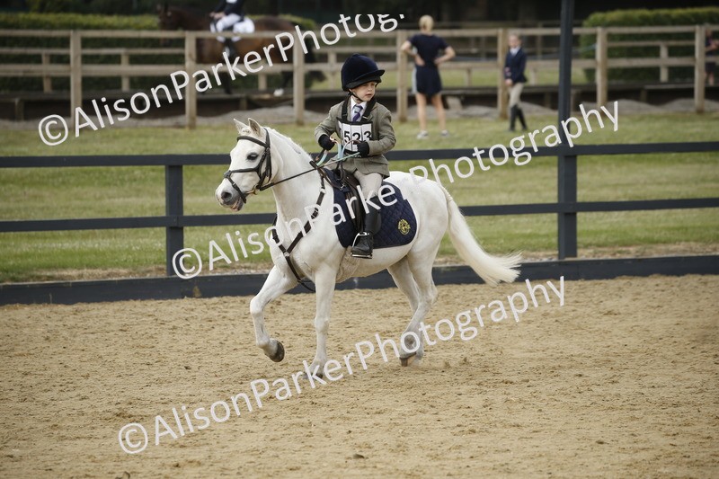 20250622-1457 - 40cm