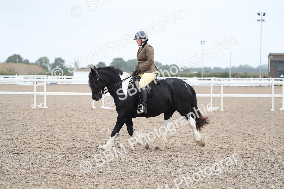 SBM_21977 - Class 603 - 2025 Area Ridden Pre Vet