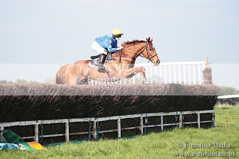 PtP 210418 499 - South & West Wilts Point-to-Point Larkhill 21/04/18