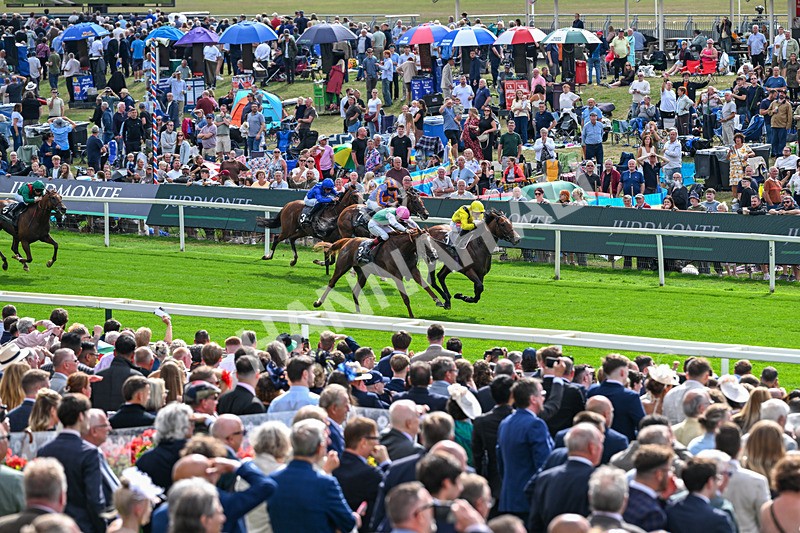 190826-Race 4-Item-1460 - Race 4 15.35pm Juddmonte International Stakes