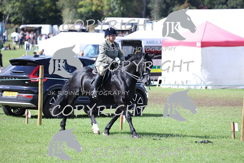 APP_3483 - Class 12 M&M ridden