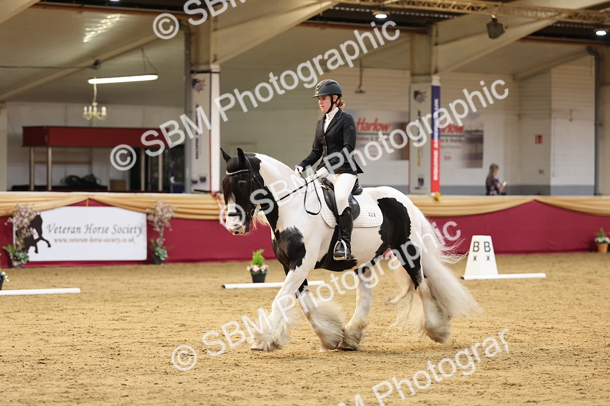 SBM_09290 - Class 51 - Dressage to music