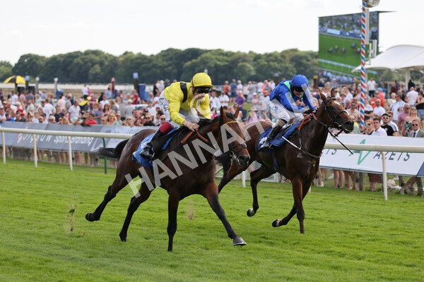 yr08072022r4-17 - Race 4 3.50pm William Hill Pick Your Places Stakes