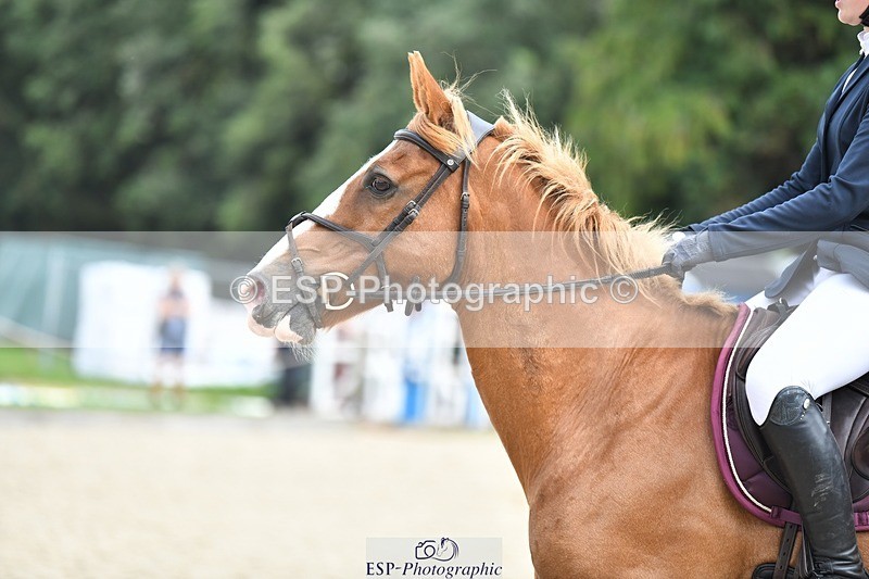 230820-111544-00497 - 90cm - Round 1