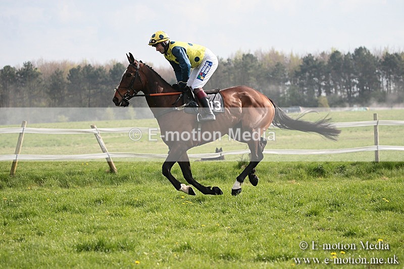 PtP 210418 404 - South & West Wilts Point-to-Point Larkhill 21/04/18