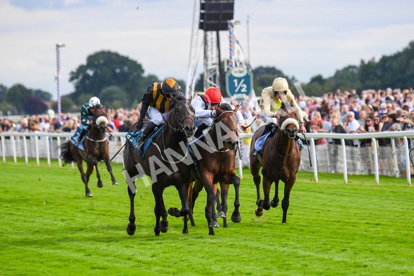 280723-Race 3-Loose Cannon-0285 - Race 3 6.05pm Ire-Incentive, It Pays To Buy Irish EBF Restricted Novice Stakes