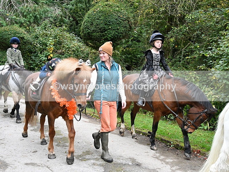 WJ7_6574 - Berks & Bucks - Children's Meet - The Old Farmhouse – Steventon.