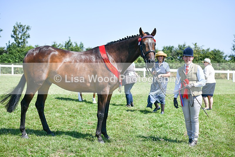 DSC_6982 - Hunter/Riding Horse/Hack In Hand Championship