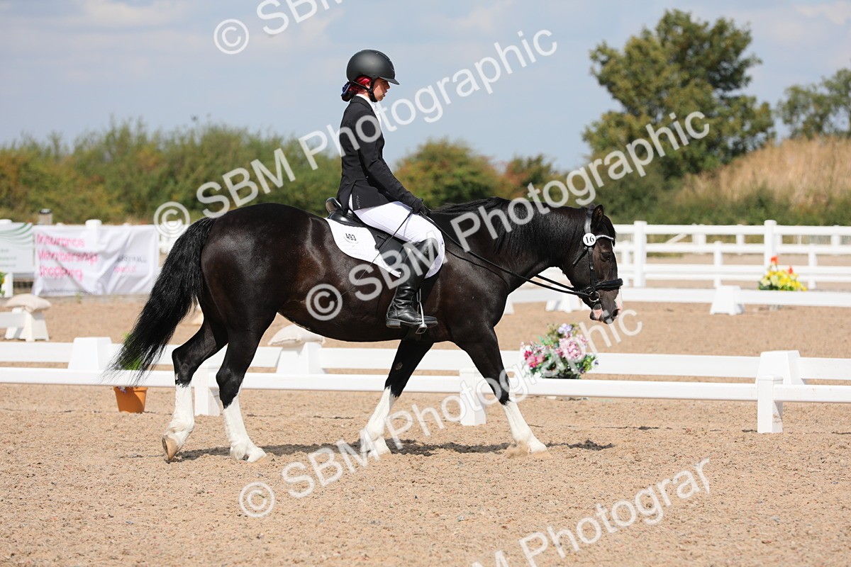 SBM_04180