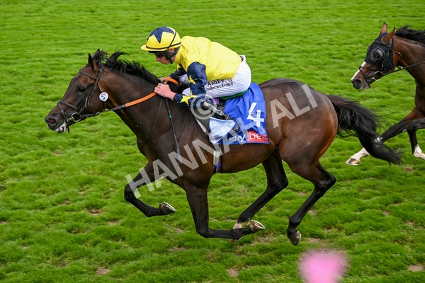 240824-Race 2-Tabletalk-1338 - Race 2 2.25pm Sky Bet Melrose Handicap