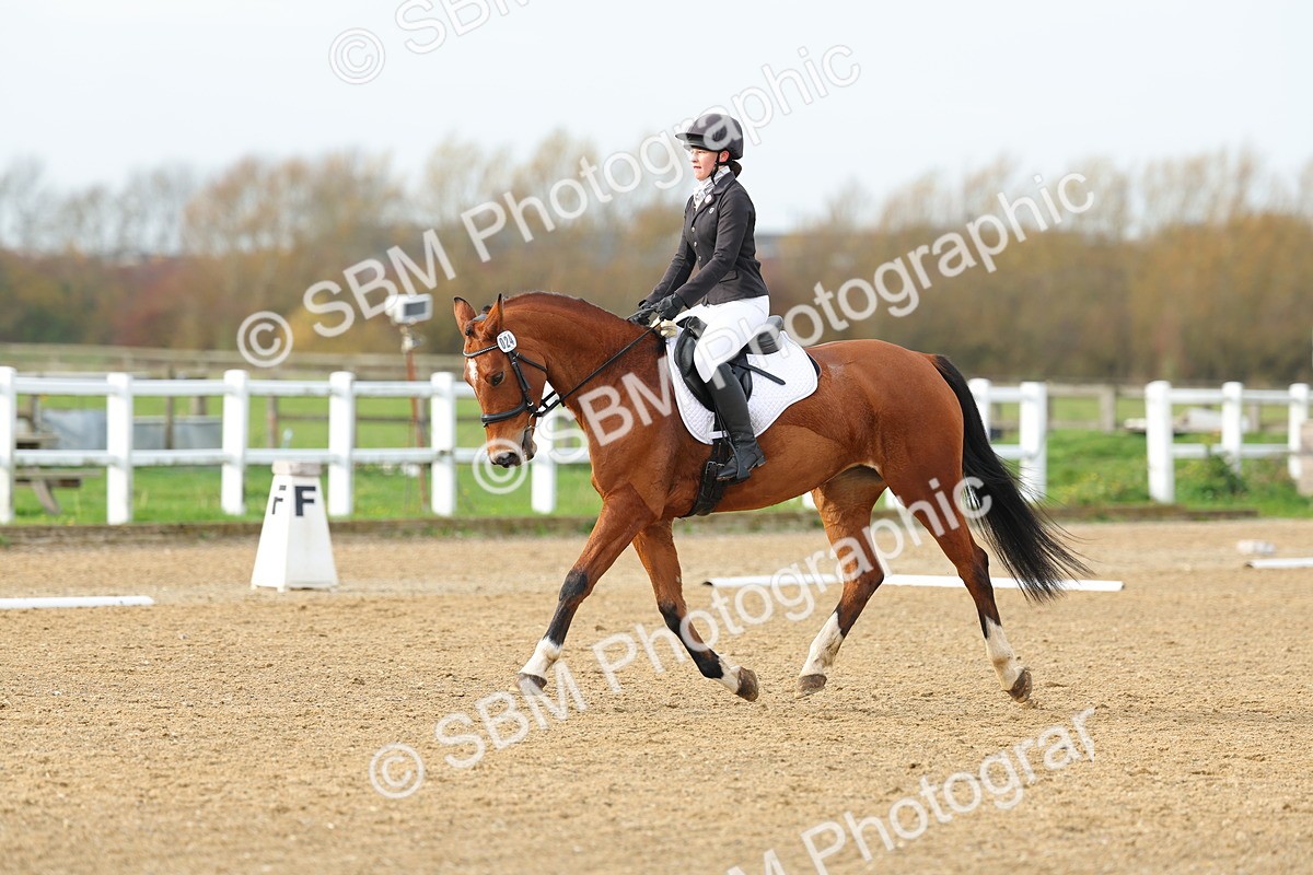 SBM_003579 - Class 6 - Novice 2