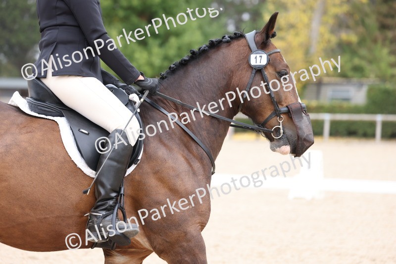 20250819-0976 - Class 2 - Prelim 1