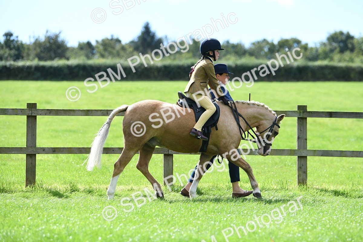 SBM_41200 - S19 - Lead Rein Show & Show Hunter Pony
