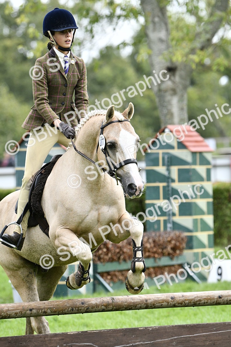 SBM_45596 - S33 - Working Hunter Pony
