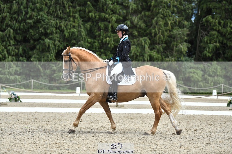 230812-142224-04680 - Cls 7 FEI PSG Bronze