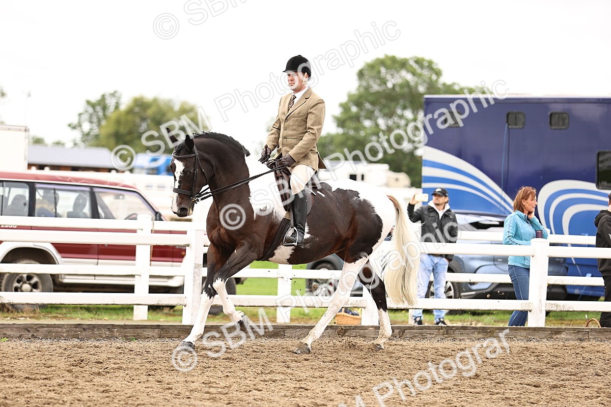 SBM_01381 - Class 54 - Riding Club Horse Pony